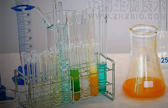 淺談培養(yǎng)基保存放置需注意四個(gè)方面？